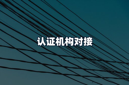 认证机构对接