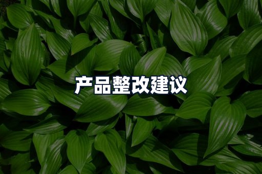 产品整改建议