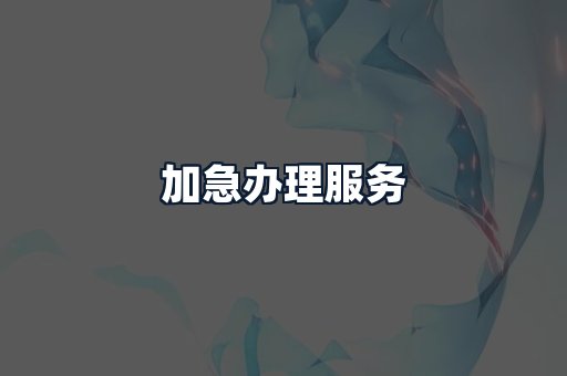 加急办理服务